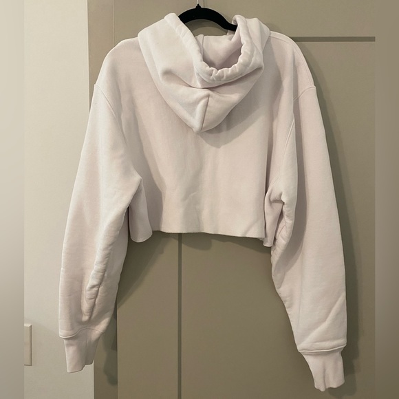 Champion H&M Reverse Weave Cropped Hoodie - Picture 4 of 4